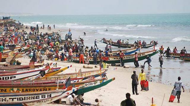 Environ 600 Mille Sénégalais Dans Le Secteur De La Pêche Rapport