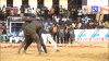 [VIDEO ] Lutte : Balla Gaye 2 corrige Tapha Tine et devient le nouvel empereur des Arènes ! 