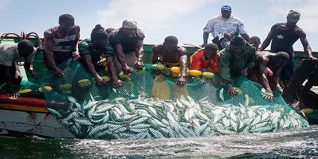 Gestion concertée et durable des ressources halieutiques : Les Ministres de la Pêche de l’UEMOA en conclave à Bissau