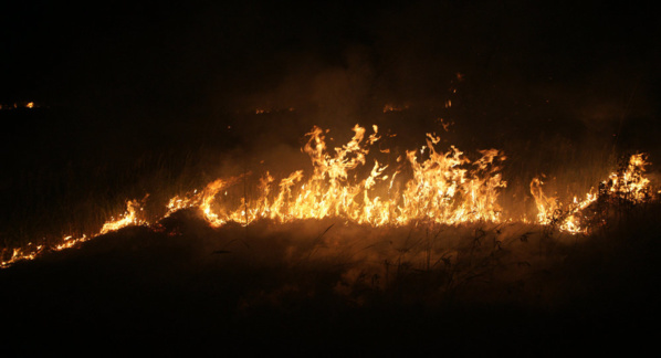 VIOLENT INCENDIE À TAL-TAL : Six blessés, sept maisons réduites en cendres, des moutons calcinés, du mil et de l'arachide brûlés