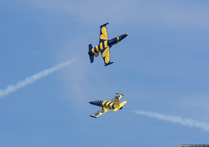  4 AVRIL / SHOW DES L-39- Ce flou qui entoure le discours de l'armée... Ténèbres sur une acrobatie aérienne... Qui a payé la facture de Baltic Bees?