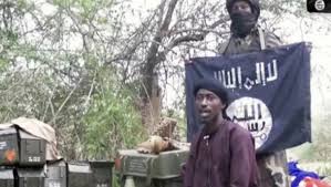 Boko Haram : Abu Mus’ab al Barnawi destitué par Abu Bakr al Bagdadi