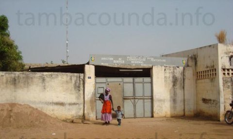 Prison de Tambacounda : Malick Noël Seck loge dans la cellule des mineurs et refuse de s’alimenter