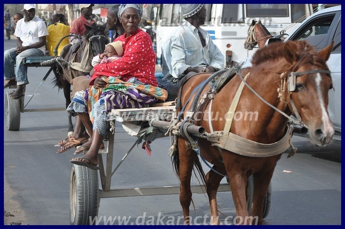 Sénégal new look: Sondéle, Puits, Sarétte... de retour dans nos comportements