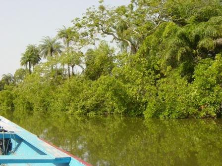 Campagne électorale en Casamance: Alors que le Mfdc appelle au boycott, qui aura le courage d'affronter les éventuels assauts rebelles et les mines ?