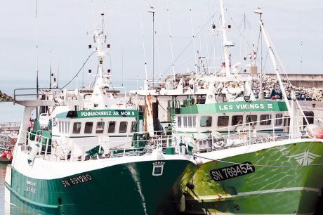 Le gouvernement annule 29 autorisations de pêche