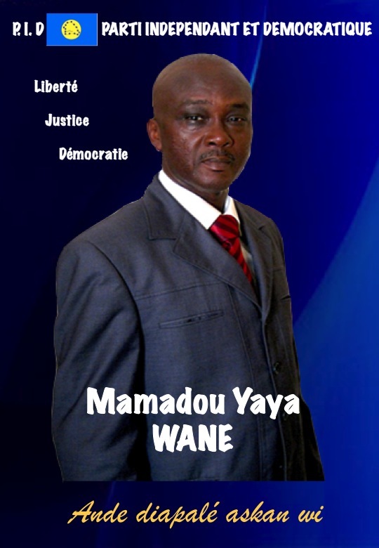 La problématique de la Transhumance Politique au Sénégal (Mamadou Yaya WANE)