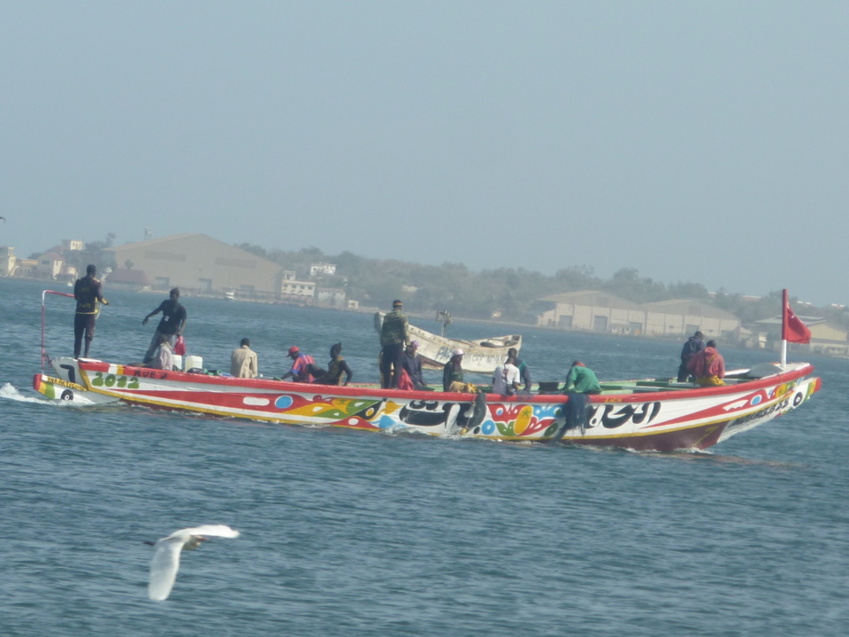 L'impact de la suppression de la vignette automobile sur le secteur de la pêche artisanale