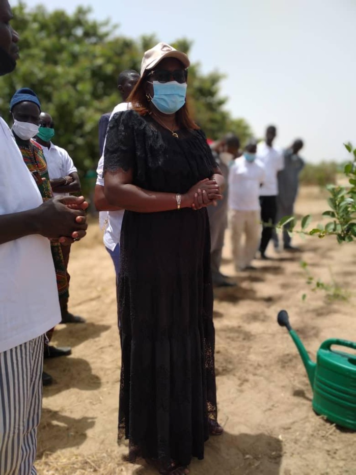 Ndiaganiao : « La seule solution pour l'employabilité des jeunes reste la formation » (Dr Téning Sène, DG Ana)