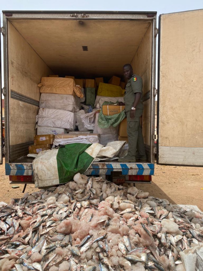 Keur Ayib : La Douane effectue une saisie record de médicaments dissimulés dans des caisses de poissons congelés valeur de 1,5 milliard de nos francs.