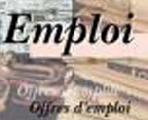 L’Offshoring une piste sérieuse pour un marché de milliers d’emplois au Sénégal