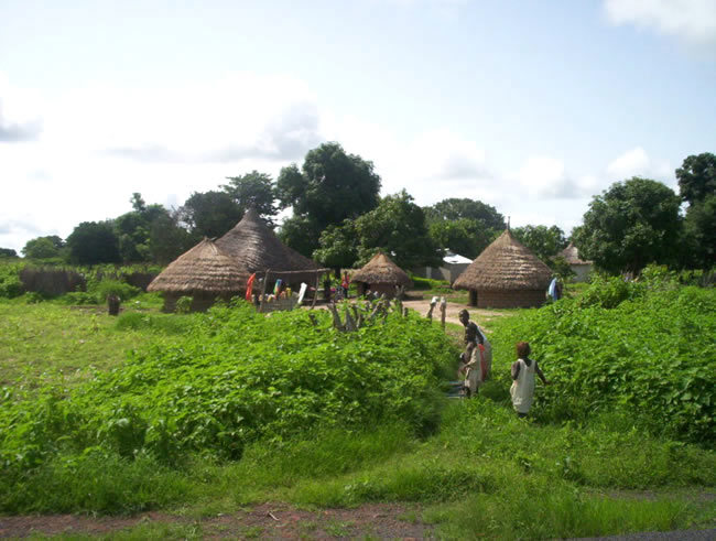 Retour de la paix en Casamance et léthargie du moment, Un collectif dénommé ‘’SOS Casamance’’ tire la sonnette d’alarme