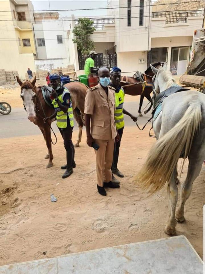 Lutte contre l’insécurité : la gendarmerie se déploie dans les quartiers de Dakar et interpelle près de 200 personnes