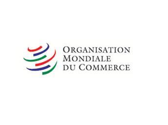 L’Organisation mondiale du commerce (OMC) et les pays les moins avancés (PMA) : Promesses et (dés)espoirs