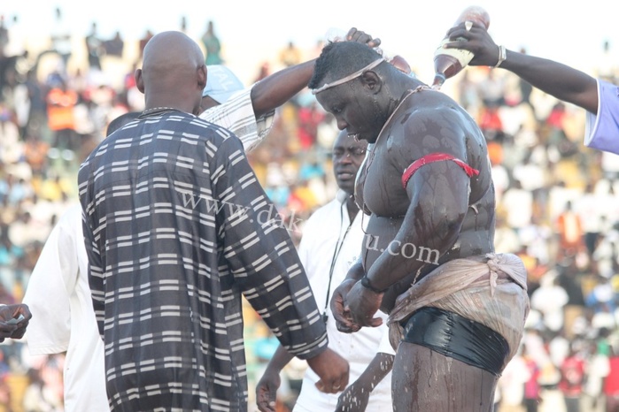 Les images du combat Balla Gaye II/ Bombardier