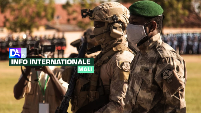 Mali: l'EI en pleine progression prend une localité clé du nord-est