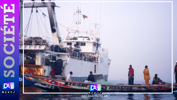 Sénégal: près de 2/3 des pêcheurs gagnent moins, les chalutiers en cause (rapport)