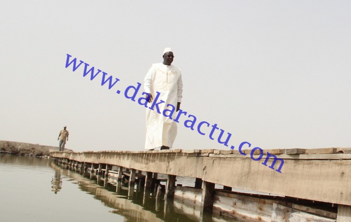 Macky traverse une passerelle d'un mètre de large pour rencontrer un travailleur des salins du Sine-Saloum