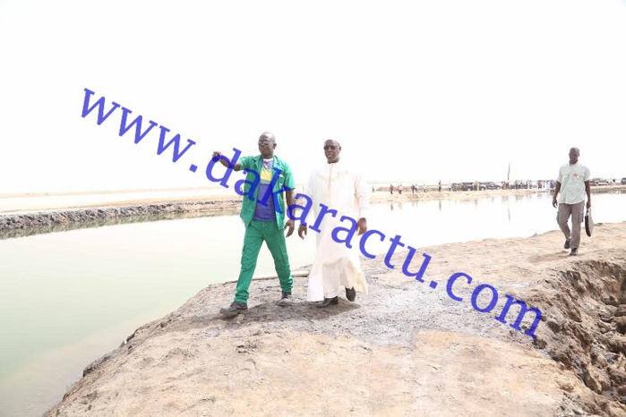 Macky traverse une passerelle d'un mètre de large pour rencontrer un travailleur des salins du Sine-Saloum