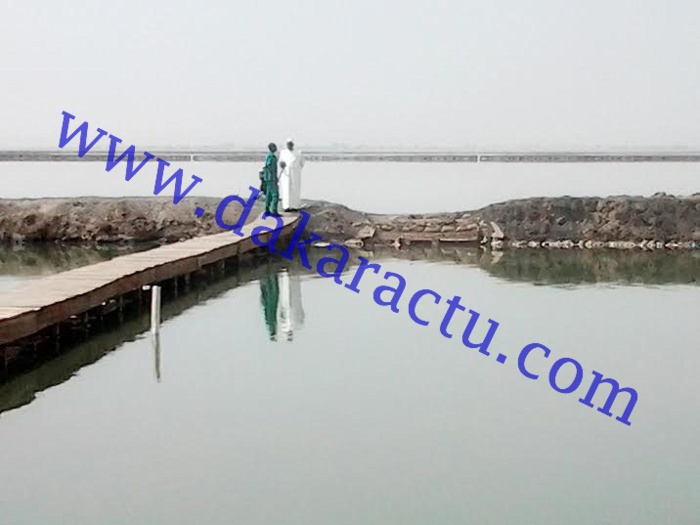 Macky traverse une passerelle d'un mètre de large pour rencontrer un travailleur des salins du Sine-Saloum