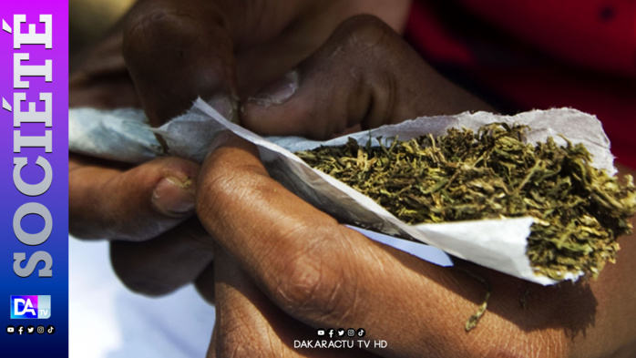 Possession de 67 cornets de Yamba : le vendeur de café, O. Ba disculpé