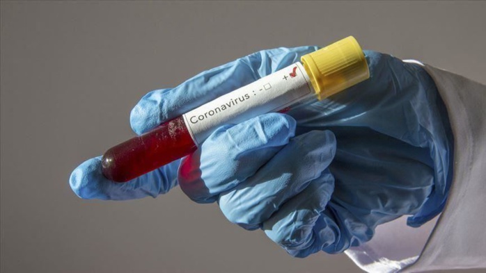 Coronavirus : les contaminations ont augmenté de 52 % en un mois dans le monde, touchant aussi le Sénégal