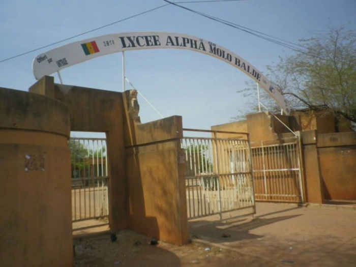 KOLDA : Le lycée Alpha Molo Baldé demande la libération du professeur d'anglais Mamadou Lamine Faye (communiqué)