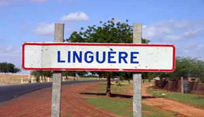 Résultats provisoires de la commission départementale / Linguère : Amadou Ba gagne le scrutin