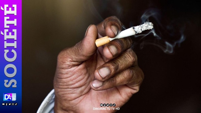 Conséquences du Tabac : Le Sénégal perd 122 milliards de francs contre 24 milliards de recettes