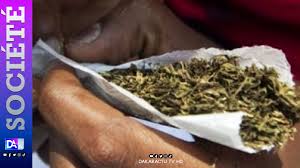 Une experte de l’ONU appelle à " la décriminalisation totale de la consommation de drogues "