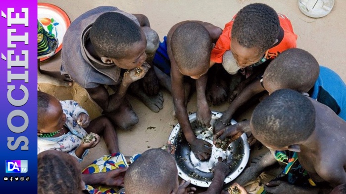Amadou Tidiane Guiro dresse un tableau sombre : « Seuls 17% des Sénégalais sont en situation de sécurité alimentaire modérée »