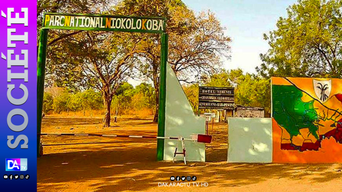 L'Unesco retire le plus grand parc naturel du Sénégal de la liste du patrimoine en péril