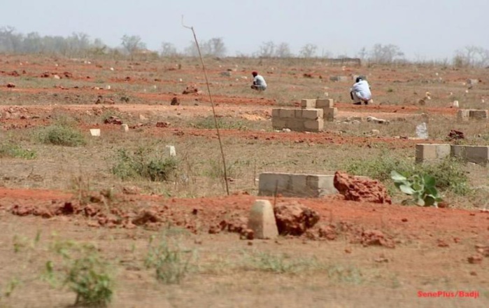 Diamniadio, une commune de toutes les pagailles foncières