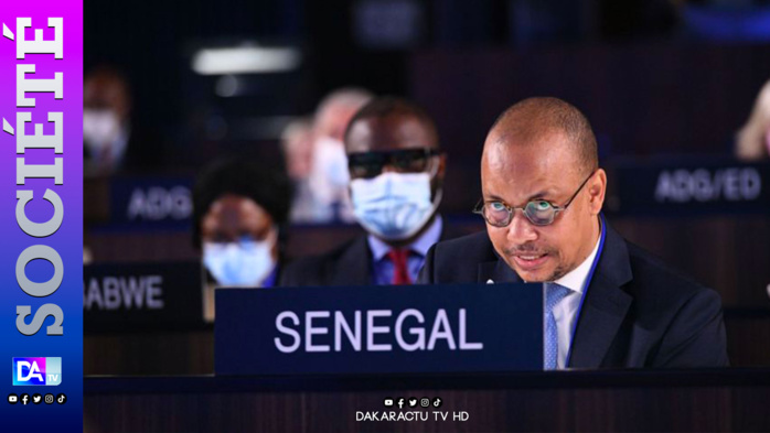 Délégué Permanent du Sénégal à l'Unesco: Souleymane Jules Diop annonce son départ