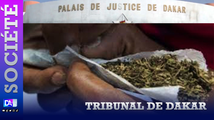 Tribunal de Dakar : Le jeune dealer propose du chanvre indien à son père et ses amis…