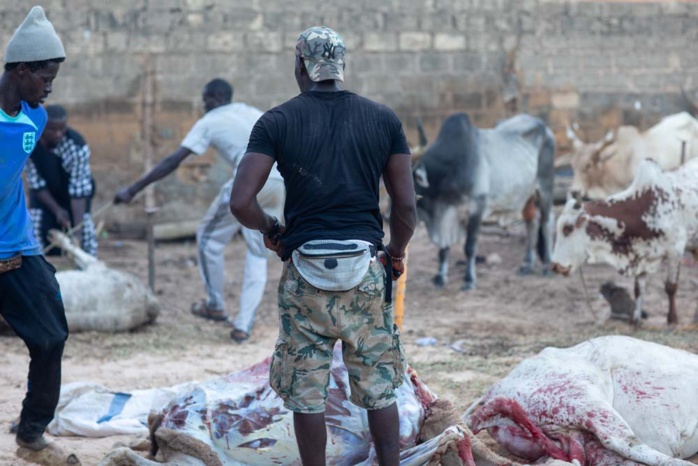 MAGAL 2024: Serigne Bass Khadim Awa Ba perpetue la tradition cuisinière pour les fidèles (Images)