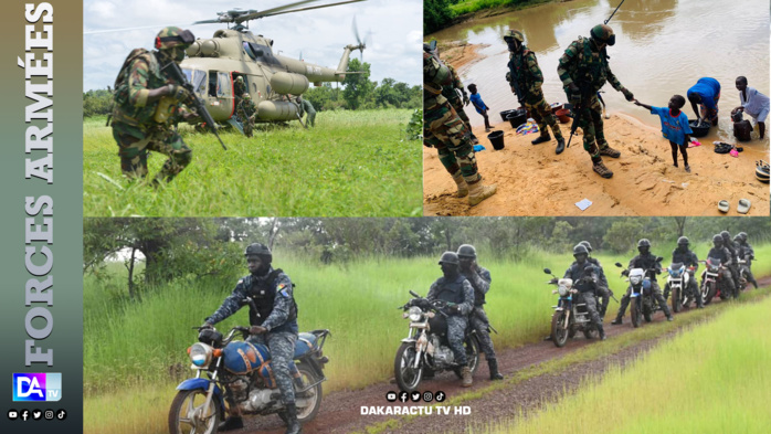 Sécurisation dans la Zone de la Falémé: Les Armées lancent l'opération "NAWETAN" pour faire face au grand banditisme