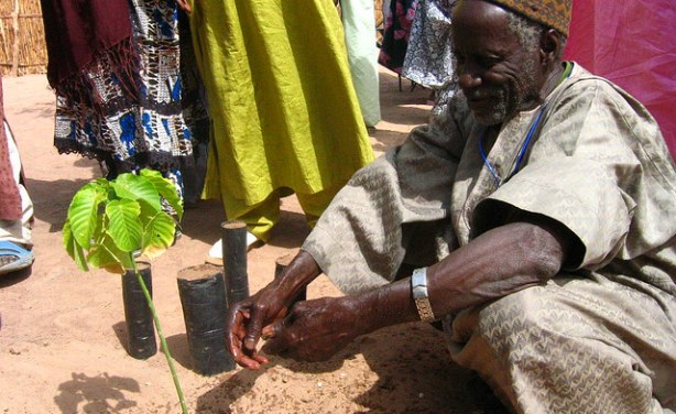 Le nombre de personnes de plus de 60 ans pourrait ‘’doubler’’ d’ici à 2050 selon l'Oms!