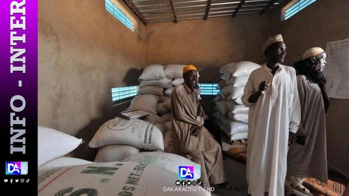 Le Niger interdit les exportations de riz et de céréales, sauf vers Burkina et Mali