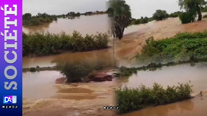 Inondations à Bakel : Un enfant de 7 Ans périt dans le déluge, la population en détresse