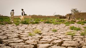 Neutralité de la dégradation des terres : Point chaud des négociations de la Cop 12 sur la désertification.