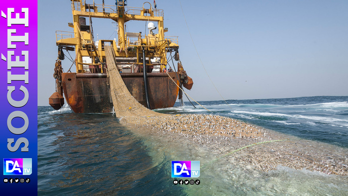 Les bateaux européens vont cesser de pêcher au Sénégal après expiration d'un accord