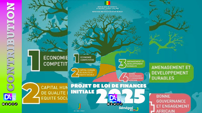 Arrive enfin la loi des finances 2025 Par Dr. Abdourahmane BA