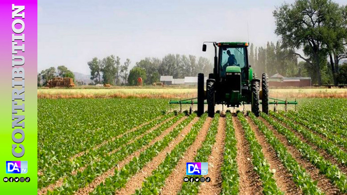 POUR RÉUSSIR L’AGRICULTURE, IL FAUT ORGANISER LE MARCHE Par Cheikh Ahmad Tidiane Sy al Amin