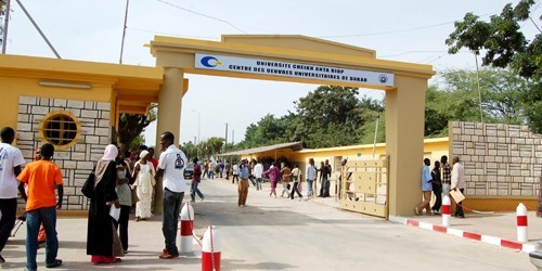 UNIVERSITÉ AU SÉNÉGAL -  « 90% de littéraires et 10% dans les filières scientifiques, techniques et technologiques »