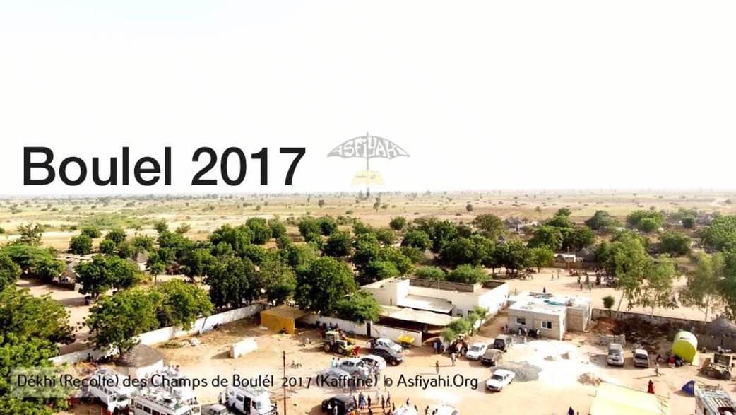 PHOTOS - Regardez les Images de la Récolte 2017 des Champs de Boulél (Kaffrine), cultivés par Serigne Abdoul Aziz SY Al Amine