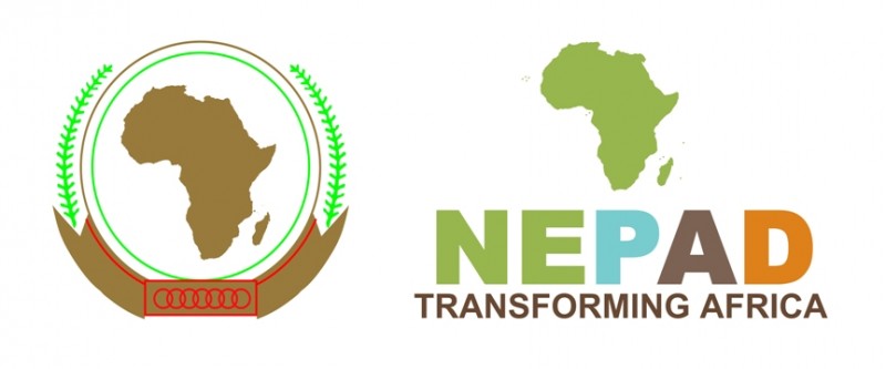 La transformation du Nouveau partenariat pour le développement de l'Afrique (NEPAD) en Agence de développement de l'Union africaine