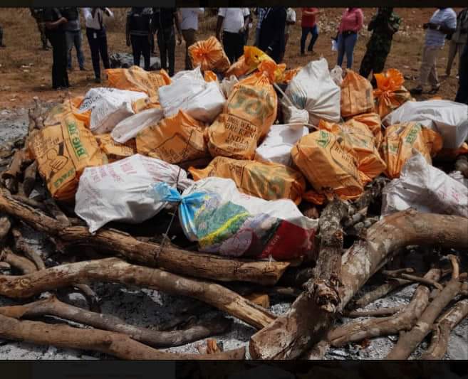 Cocaïne saisie à Bissau : La drogue est incinérée, le rôle du Sénégalais arrêté identifié