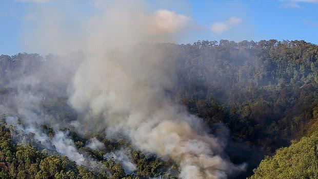 Feux de brousse à Madagascar : Le parc d’Ankarafantsika touché par les flammes