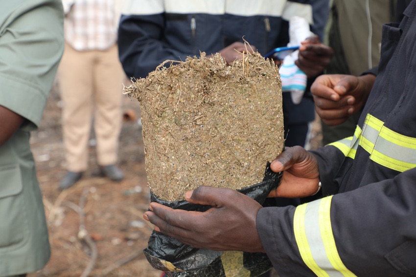 Ziguinchor / Idrissa Diatta cueilli au pont Emile Badiane avec 4.5 kg de Yamba par la police